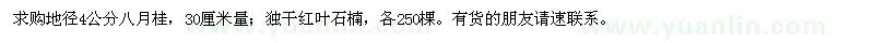 求购地径4公分八月桂、独杆红叶石楠