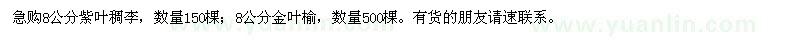 求购8公分紫叶稠李、金叶榆