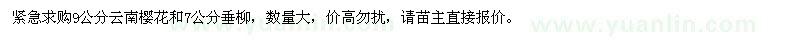 求购9公分云南樱花、7公分垂柳