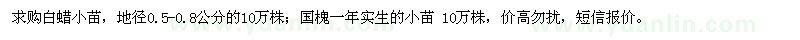 求购白蜡小苗、国槐小苗