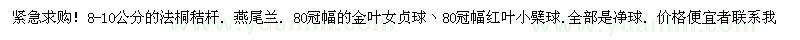 求购法桐秸杆、燕尾兰、金叶女贞球