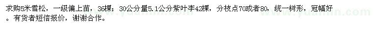 求购5米雪松、5.1公分紫叶李