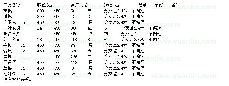 求购槭枫、广玉兰、大叶女贞、乐昌含笑等