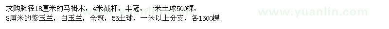 求购马褂木、紫玉兰、白玉兰