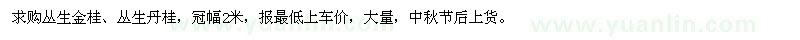 求购丛生金桂、丛生丹桂