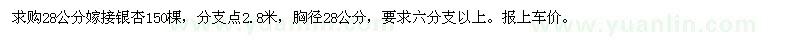 求购28公分嫁接银杏