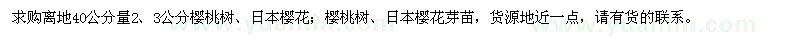 求购2、3公分樱桃树、日本樱花、芽苗