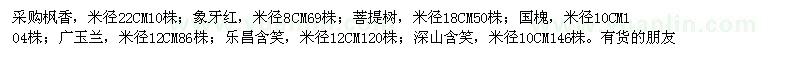 求购枫香、象牙红、菩提树