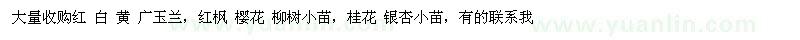 求购红白黄广玉兰、红枫樱花柳树小苗