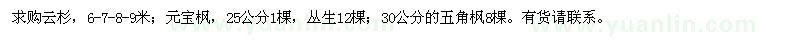 求购云杉、元宝枫、五角枫