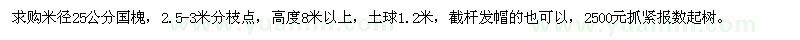 求购米径25公分国槐