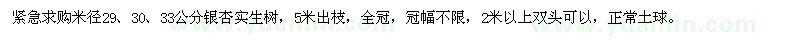 求购米径29、30、33公分银杏实生树