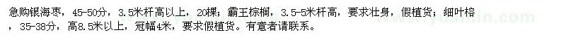 求购银海枣、霸王棕榈、细叶榕