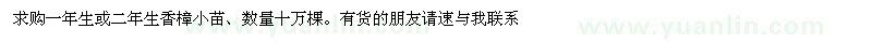 求购一年生、二年生香樟小苗