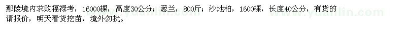 求购福禄考、葱兰、沙地柏