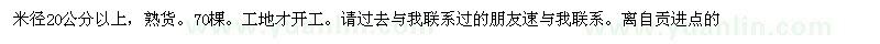 求购急需米径20公分以上青桐70棵