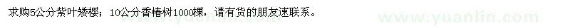 求购5公分紫叶矮樱、10公分香椿树