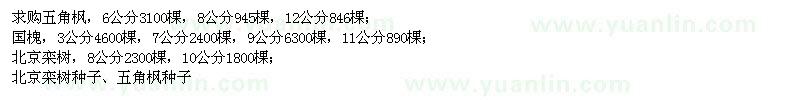 求购五角枫、国槐、北京栾树