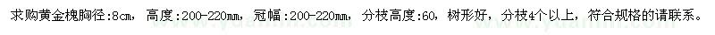 求购胸径8公分黄金槐