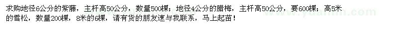 求购地径6公分紫藤、地径4公分腊梅、高5米雪松