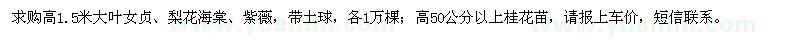 求购高1.5米大叶女贞、梨花海棠、紫薇