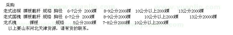 求购老式法桐、老式国槐、龙爪槐