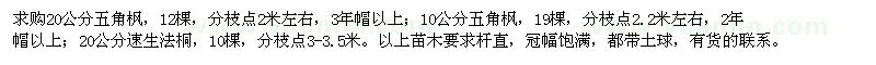 求购五角枫、速生法桐