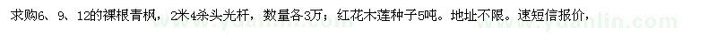 求购6、9、12青枫、红花木莲种子