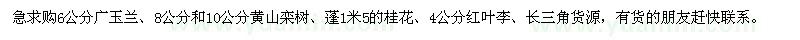 求购广玉兰、黄山栾树、桂花、红叶李