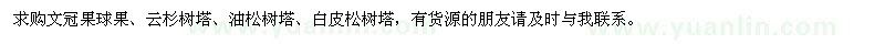 求购文冠果球果、云杉树塔、油松树塔、白皮松树塔