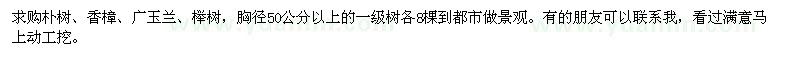 求购胸径50公分以上朴树、香樟、广玉兰