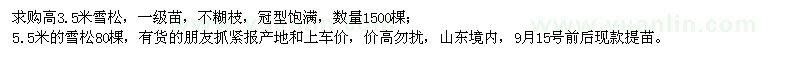 求购高3.5、5.5米雪松