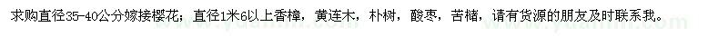 求购樱花、香樟、黄连木