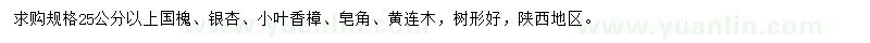 求购国槐、银杏、小叶香樟等