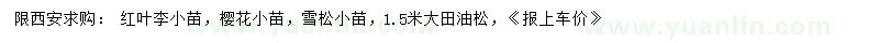 求购红叶李小苗、樱花小苗、雪松小苗