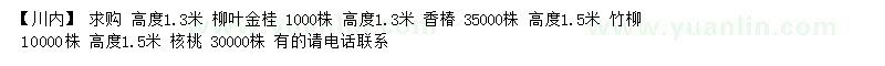 求购柳叶金桂、香椿、竹柳等