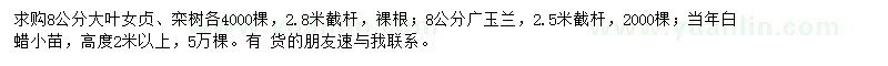 求购大叶女贞、广玉兰、白蜡小苗