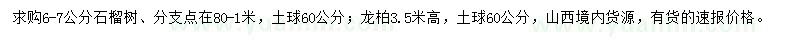 求购6-7公分石榴树、3.5米高龙柏