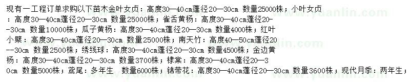 求购金叶女贞、小叶女贞、雀舌黄杨