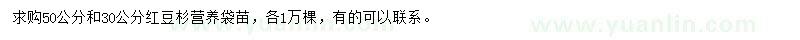 求购50、30公分红豆杉