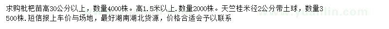 求购枇杷小苗、天竺桂