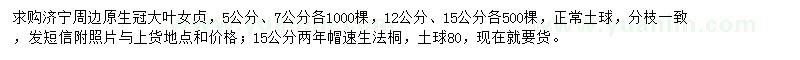 求购原生冠大叶女贞、速生法桐