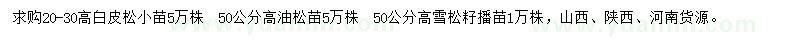 求购白皮松、油松、雪松小苗