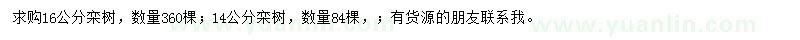 求购14、16公分栾树