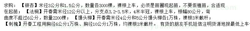 求购银杏、法桐、馒头柳等