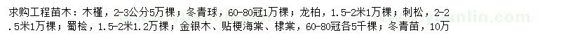 求购木槿、冬青球、龙柏等