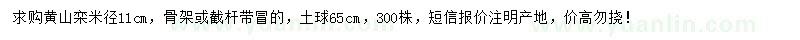 求购米径11公分栾树