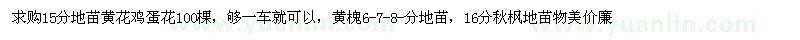 求购黄花鸡蛋花、黄槐、秋枫