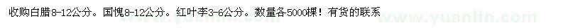 求购白腊、国愧、红叶李