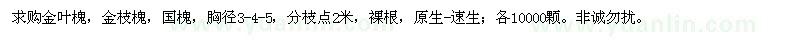 求购金叶槐、金枝槐、国槐